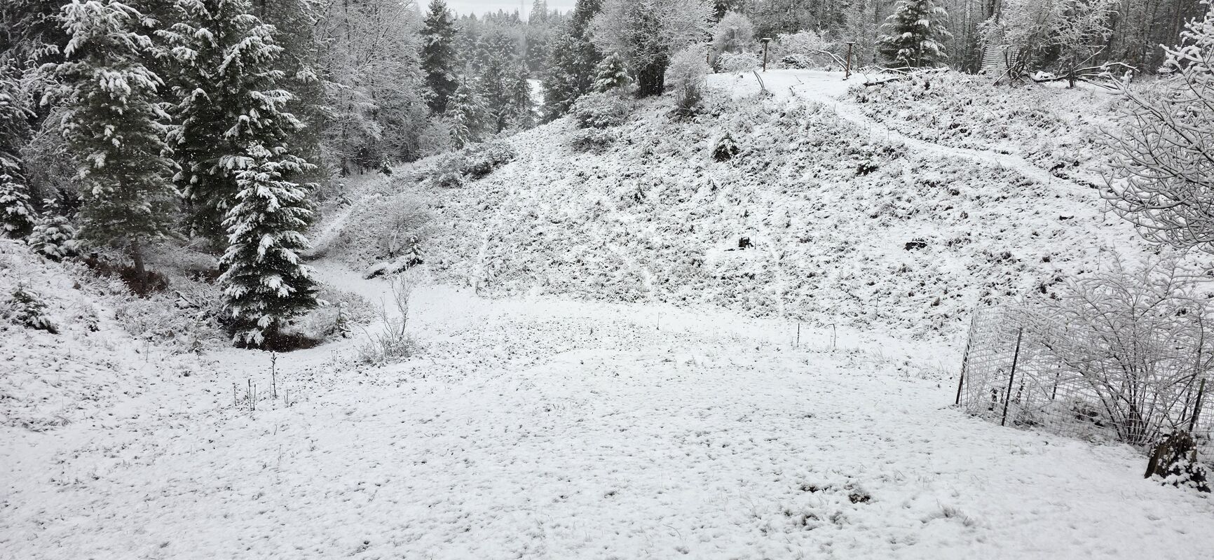 Sledding hill off the front porch in winter